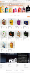 Launched Product Catalogues Website for Bags Manufacturing Industries